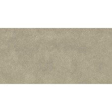45x90 Omnistone Platina Soft-Omnistone-3126H892U1 из коллекции Omnistone 45x90 Omnistone Platina Soft-Omnistone-3126H892U1 из коллекции Omnistone Omnistone Керамическая плитка Revigres