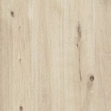 60x60 Woodtale Xt20 Betulla Rett R4Xf з колекції Xt20 60x60 Woodtale Xt20 Betulla Rett R4Xf з колекції Xt20