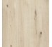 Плитка 60x60 Woodtale Xt20 Betulla Rett R4Xf з колекції Xt20 Ragno