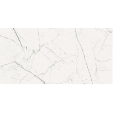 ARCADIA TECNO BIANCO 30X60 NATURAL з колекції Arcadia Arcadia