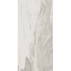 (49.6x99.5) PO110R Petrified Wood White Rettificato - Petrified Wood з колекції Petrified Wood Ascot