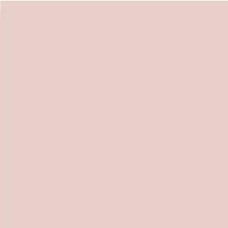 Salmon Mate 20x20 Satinados з колекції Satinados