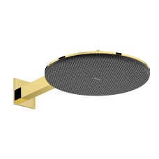 Верхній душ Raindance Alive S 300 2jet з тримачем Polished Gold Optic (24540990) Верхній душ Raindance Alive S 300 2jet з тримачем Polished Gold Optic (24540990) RAINDANCE ALIVE S — страница 4