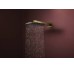 Верхній душ Raindance Alive S 300 2jet з тримачем Polished Gold Optic (24540990)