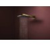 Верхній душ Raindance Alive S 300 2jet з тримачем Polished Gold Optic (24540990)