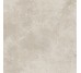 Плитка (60.2x60.2) V5610021 - 100174702 BALTIMORE BEIGE 60.2x60.2 - Baltimore з колекції Baltimore Venis