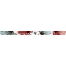 Liston Ocean Flor Blanco Бордюр (5х60) Liston Ocean Flor Blanco Бордюр (5х60) Ocean Керамічна плитка Fanal