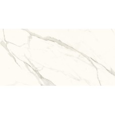 CALACATTA GRES REKT. 59.8х119.8 (плитка для пола и стен) POLER
