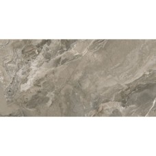 Generous Taupe RECT LAP 598x1198x8