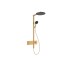 Душовая система Raindance Alive S 300 2jet EcoSmart з ShowerSelect Comfort Brushed Bronze (24596140)