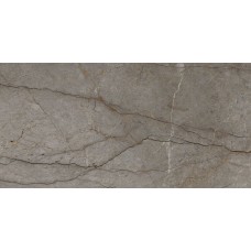 G1053 ASTANA GREY POLISHED 02 6 MM 160x320 (настенная) G1053 ASTANA GREY POLISHED 02 6 MM 160x320 (настенная)