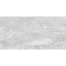 Premium Silver - 29.2x59.2 Premium з колекції Premium Premium