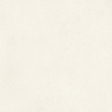 White Texture 59.6x59.6 Avenue з колекції Avenue