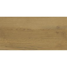 Плитка стеновая Intense Wood RECT 300x600 Ceramika Color