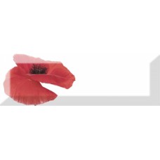Декор Decor 01 10x30 Poppy Keramika з колекції Poppy Keramika Декор Decor 01 10x30 Poppy Keramika з колекції Poppy Keramika
