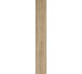 Плитка Grove Arbusto Rt - 14.5x90 RA4M Grove з колекції Grove Ragno