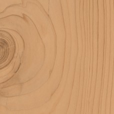 (20x20) D764 ESN.CEDAR 20 - Essences з колекції Essences Essences Керамічна плитка Marca Corona