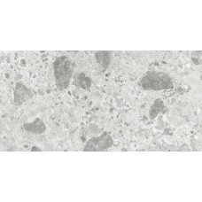 60x120 AMSTERDAM GREY POLISHED RECT. Amsterdam из коллекции Amsterdam Amsterdam Керамическая плитка Itt Ceramic
