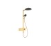 Душова система Raindance Alive S 300 2jet з ShowerSelect Comfort Polished Gold Optic (24595990)
