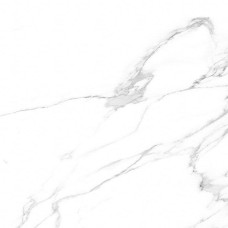 Nature 59.6x59.6 Artic з колекції Artic