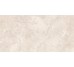 RAPOLANO SILVER MATT 60х120 (напольная плитка и стен)