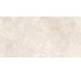 RAPOLANO SILVER MATT 60х120 (напольная плитка и стен)