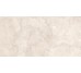 RAPOLANO SILVER MATT 60х120 (напольная плитка и стен)