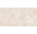 RAPOLANO SILVER MATT 60х120 (напольная плитка и стен)