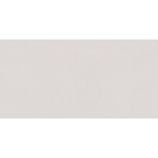 30x60 Palomastone Silver-Palomastone з колекції Palomastone PALOMASTONE Керамічна плитка Tau