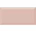 Плитка 10x20 Monocolor Salmon Biselado Brillo-Monocolor з колекції Monocolor Absolut Keramika