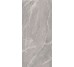 Плитка SUPREME GREY 278 - 120x278 15570072 Supreme з колекції Supreme Casalgrande Padana