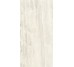 Плитка Invictus Ivory As - 60x120 CSAINVIA12 Invictus з колекції Invictus Santagostino