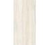 Плитка Invictus Ivory As - 60x120 CSAINVIA12 Invictus з колекції Invictus Santagostino