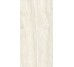 Плитка Invictus Ivory As - 60x120 CSAINVIA12 Invictus з колекції Invictus Santagostino