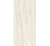 Плитка Invictus Ivory As - 60x120 CSAINVIA12 Invictus з колекції Invictus Santagostino