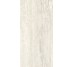 Плитка Invictus Ivory As - 60x120 CSAINVIA12 Invictus з колекції Invictus Santagostino