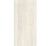 Плитка Invictus Ivory As - 60x120 CSAINVIA12 Invictus з колекції Invictus Santagostino