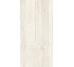 Плитка Invictus Ivory As - 60x120 CSAINVIA12 Invictus з колекції Invictus Santagostino