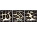 Декор Leo S/3 10x10 Onice Cobsa из коллекции Onice Cobsa