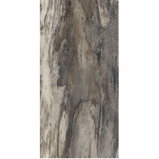 (30x60) 634D8R GREY BARK NAT RETT з колекції Petrified Tree Emilceramica (30x60) 634D8R GREY BARK NAT RETT з колекції Petrified Tree Emilceramica Petrified Tree Керамічна плитка Emil Ceramica