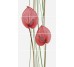 Декор (70x120) Decor Leimotiv-4 Rojo - Sfera з колекції Sfera Novogres
