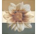 Декор (75x75) COMPOSICION CHLOE 7000MOKA-MARENGO-BEIGE III, (набор 3 шт.) из коллекции 7000 Porcelanite DOS