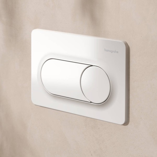 66002450 HG Смывная клавиша iFrame Original S, white (1 сорт)