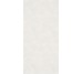 Плитка бетонная Знаки Ледяные листья 6 мм - 120x250 6CONCR250ICELEA Бетонные знаки з колекції Бетонные знаки Gigacer