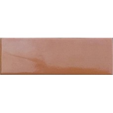 Mini Terracotta Glossy - 5x15 515SEMITEGL Mini з колекції Mini Mini