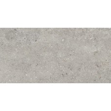 RIALTO GREY MATT 59.8х119.8 (плитка для підлоги і стін)