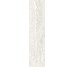 Плитка Invictus White - 7.3x29.6 CSAINWH730 Invictus з колекції Invictus Santagostino