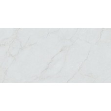 Caryn Bianco Pul. Rect. 60х120 из коллекции Caryn STN Caryn Bianco Pul. Rect. 60х120 из коллекции Caryn STN Caryn