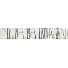 (25x150) MR82 Carta Take R. - Kasai з колекції Kasai