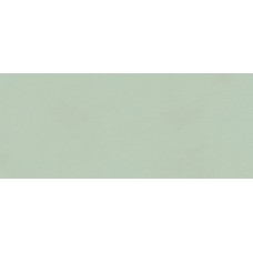 TRUE COLOR MATCHA MATT RT 50х120 (настінна) fTDV